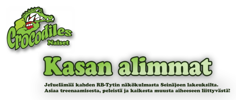 nimibanneri+logo3